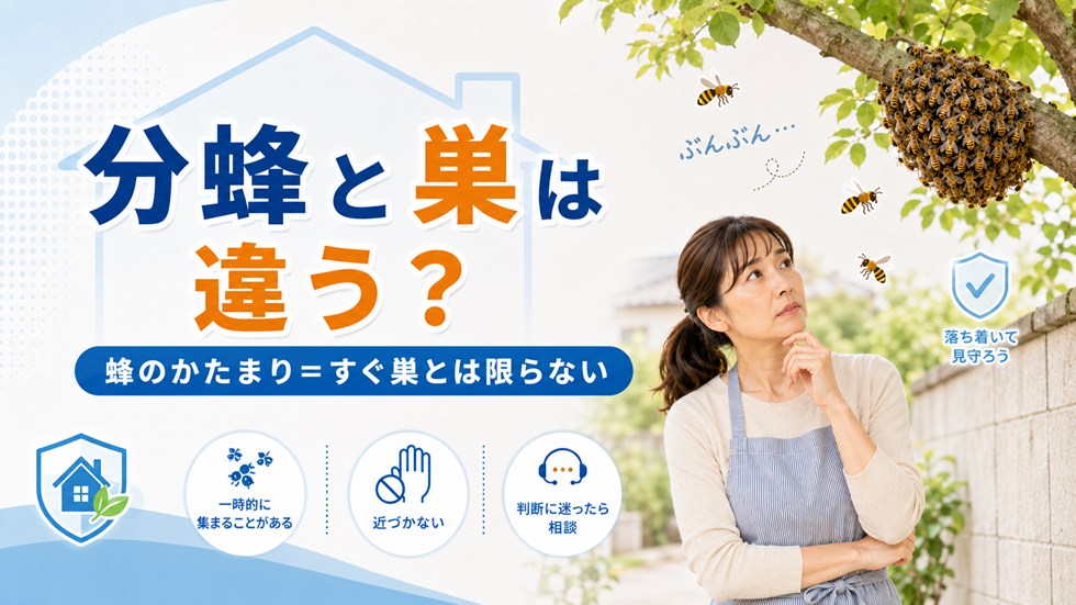 ミツバチの分蜂と蜂の巣は違うことがある