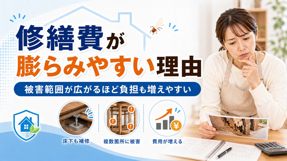 シロアリ被害で修繕費が膨らみやすい理由