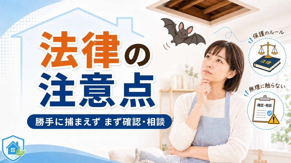 コウモリ対策で注意したい法律のこと
