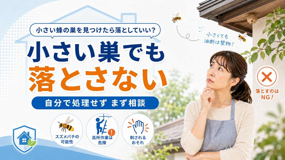 小さい蜂の巣を見つけたら落としていい？
