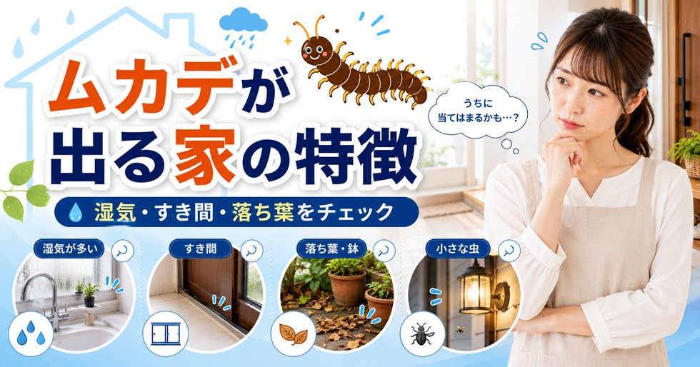 ムカデが出る家の特徴